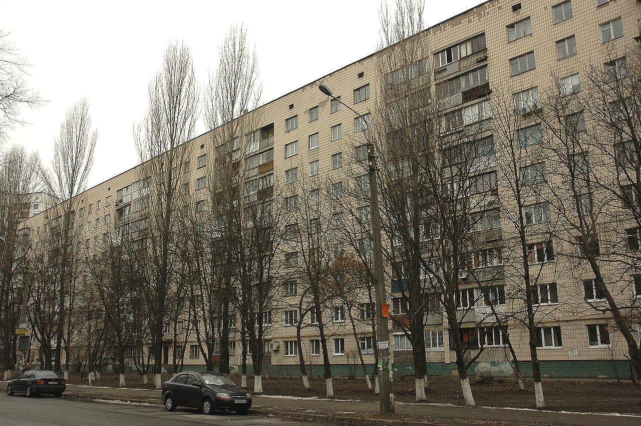 8569.jpg