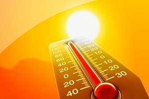 jara_c.jpg