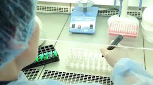 скачанные файлы.jpeg