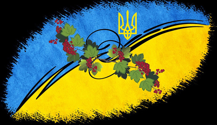 den-konstitucii-ukraini---2016-004.jpg