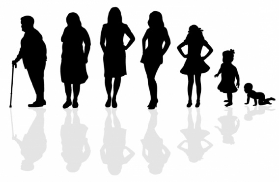 8571-568x0-9ccb5.jpg
