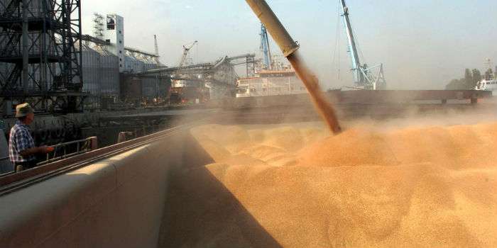 УЗА прогнозирует экспорт зерна рекордных объемов