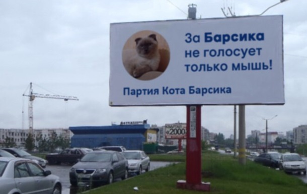 котик