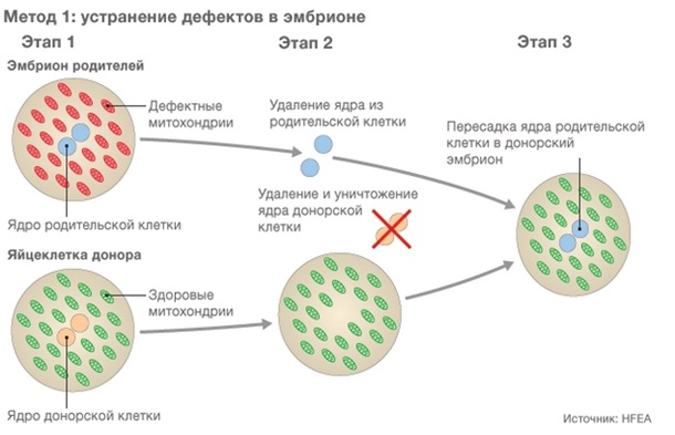 таблица 1