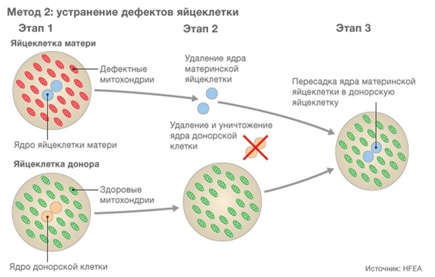 таблица 2