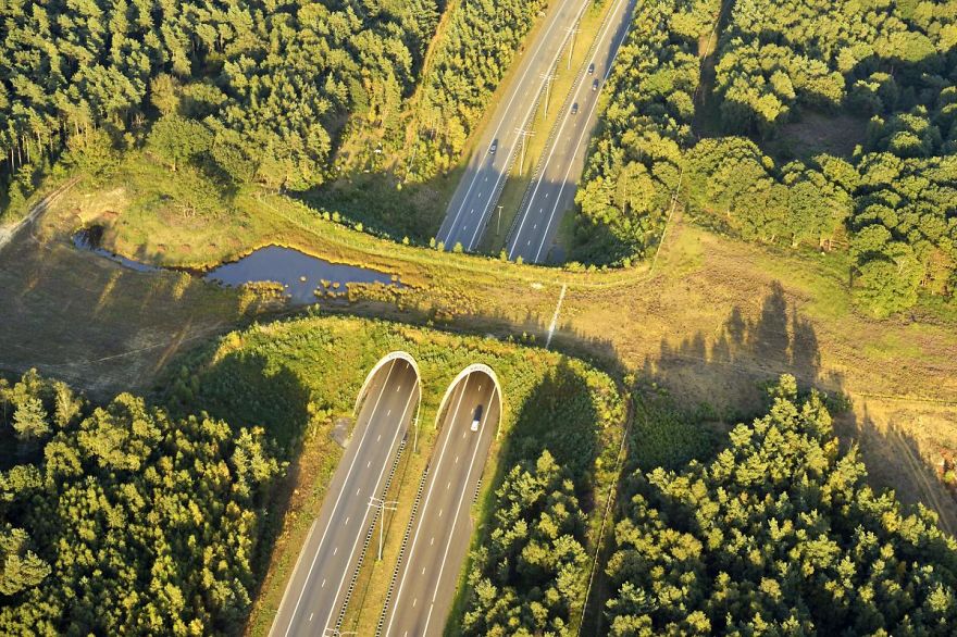 Экодук над шоссе, Нидерланды