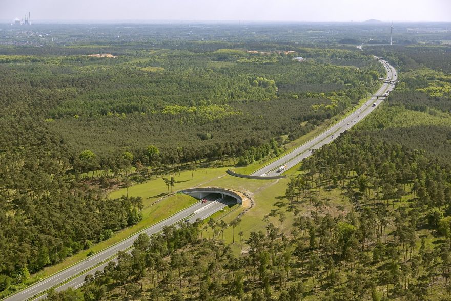 Зеленый мост для живой природы над автобаном, Германия