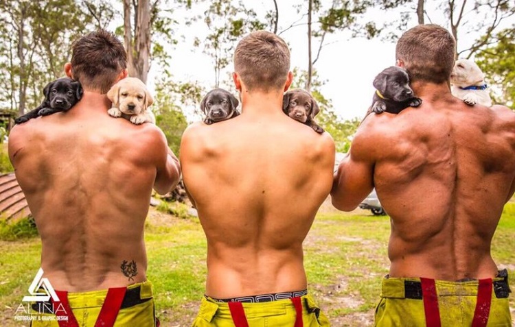 австралийские пожарные со щеками