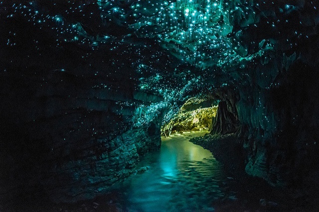 Светящиеся пещеры Вайтомо, Новая Зеландия