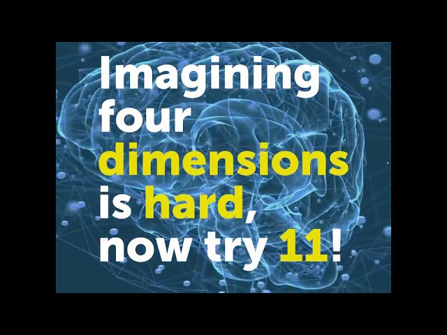 В мозге обнаружили 11 измерений__