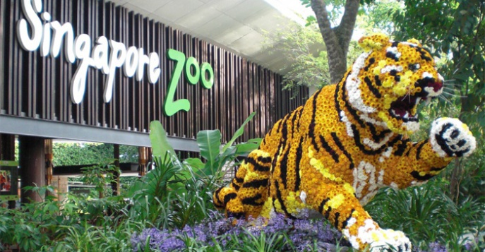 зоопарк сингапур