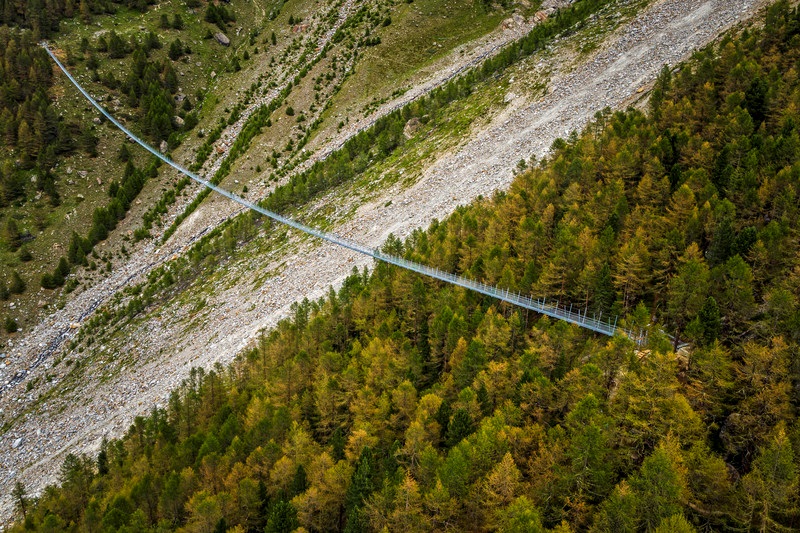 мост в лесу