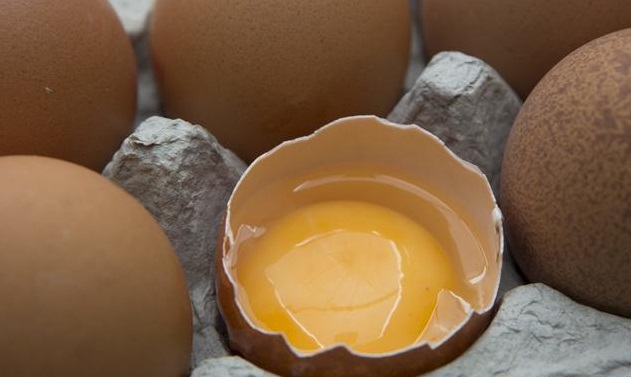 зараженные яйца