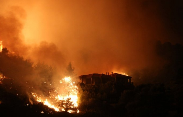 греция лесной пожар