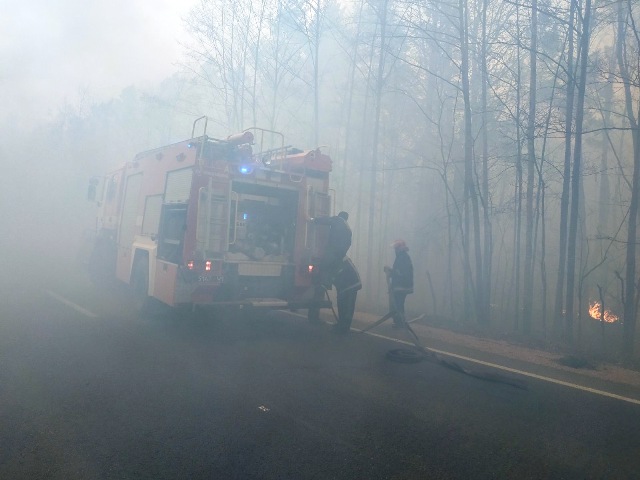 пожар в Житомирской области