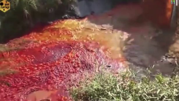 кровавая река израиль