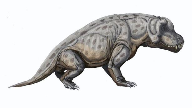 Антеозавр