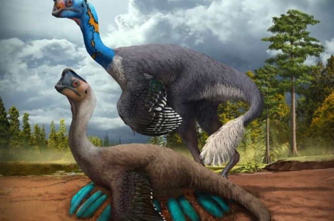 новый вид динозавров